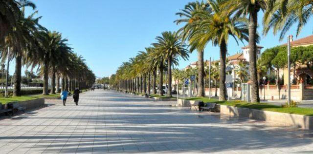Apartamento Salou Playa Jaime I Dış mekan fotoğraf